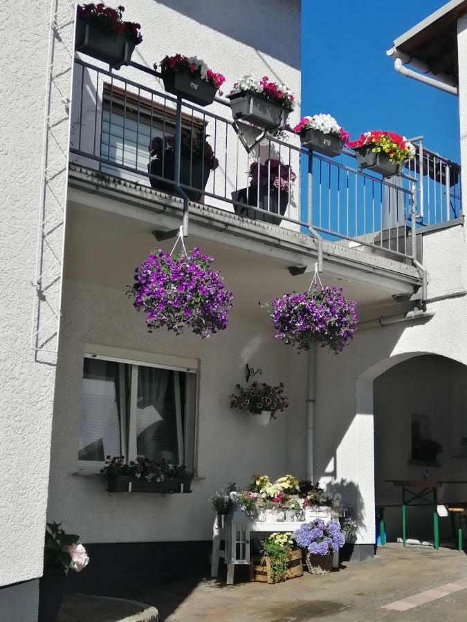 Ferienwohnung-Kiefer Hillscheid エクステリア 写真